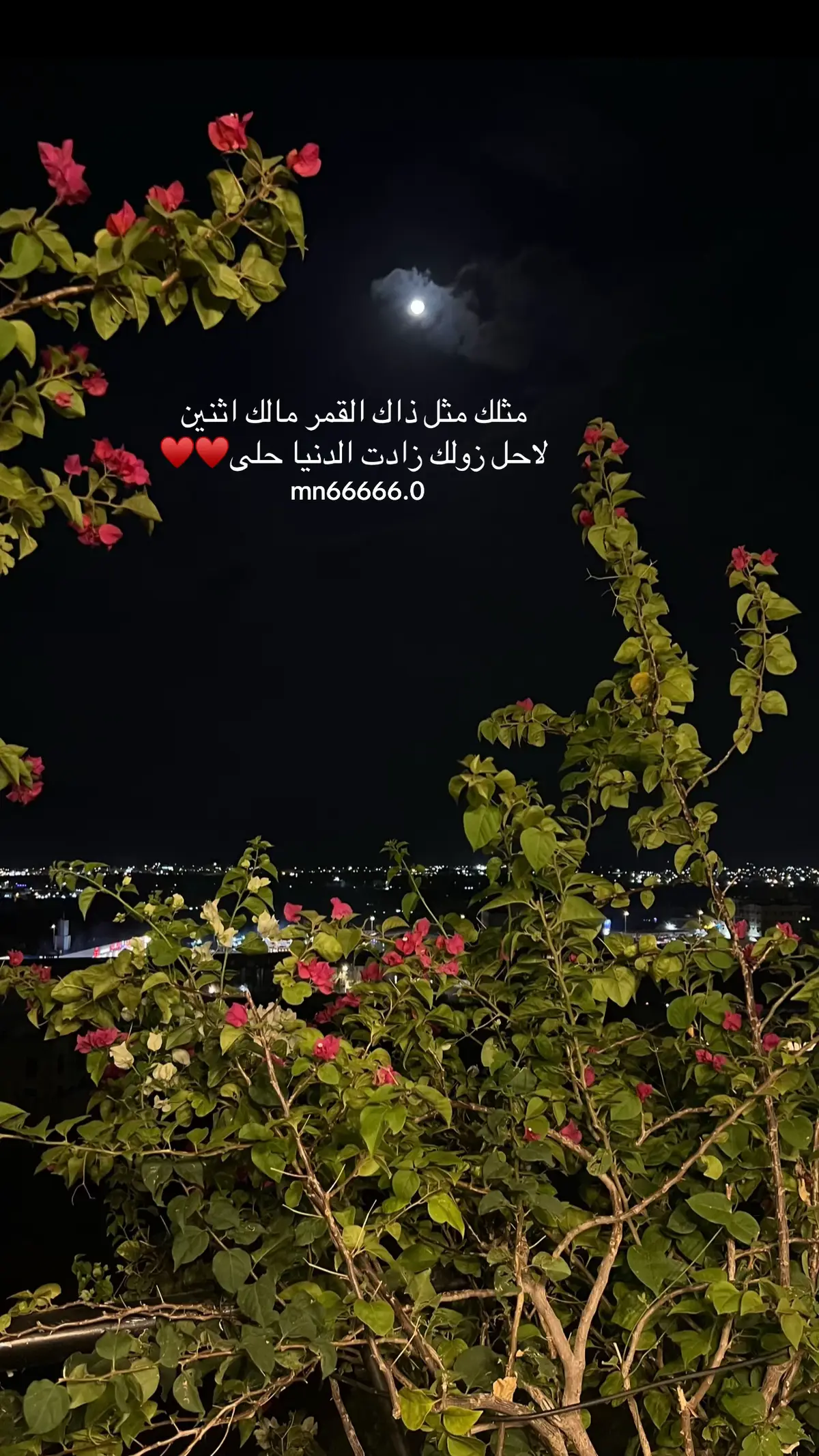 أنت الحياة وانا على قيدك ♥️♥️#تصويري📷 