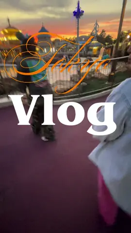 I have to give you guys a separate haul! But some of the bags were pretty overpriced, but you definitely can find a good bag here in Japan depending on what u are looking for. A lot of the Hermès bags were priced at very good prices! But some of the exclusive vintage LV collections we’re pretty high and I have found a few cheaper online before I left! 