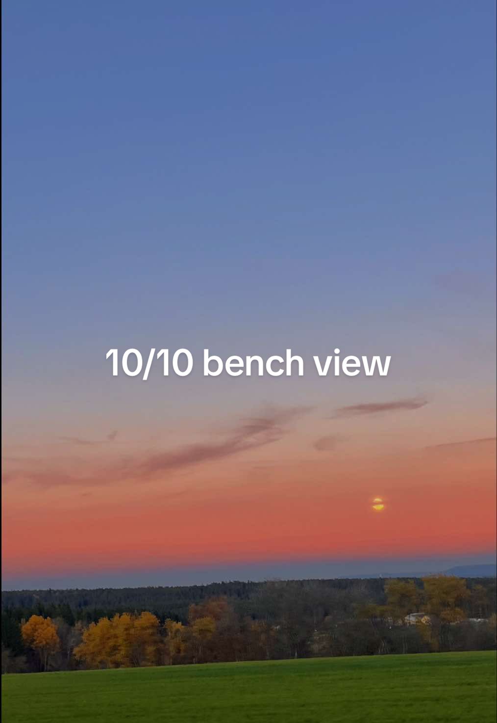 🐾🐾 #pourtoii #fyp #travel #switzerland #vinland 