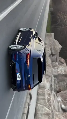 #tik_tok #عشاق_المتريال_الخشين😍🤤 #leonalgerie🖤💣 #cupra 