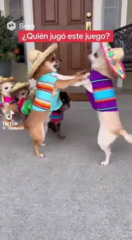 #videodehumor🤣 #videoviral #enparati #funnyvideo #perritoschistosos💖🐶 