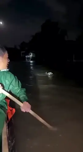 rescue dogs from flood areas🥰#dog #Love #foryou #usa🇺🇸 