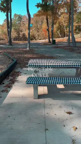 #picnicdate #picnictable #picnicideas #picnictablecover #tiktokshopblackfriday 