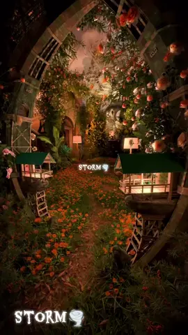 #اغدا_القاء_ياموعدي_ #ام_كلثوم_طرب_قديم_الزمن_الجميل #موسيقى_كاملة_طبيعة_بحر_عزف_رواق_هدوء_مميز_تركيا_هولندا_بلجيكا_اوروبا #موسيقى_عالمية_اجنبي_عربي_مشهورة_مميز_خريف_عزف__نهر_صوت_عصافير_طبيعة #ليل_بحر_عزف_غيتار_رومنس_حب_مشاعر_هادء_ريلاكس 