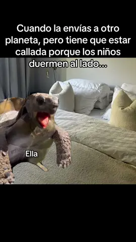 Relacionable?😂#novios #novias #pareja #relaciones #relatable 