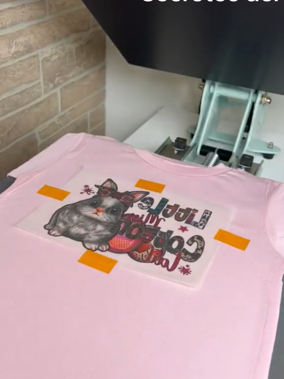 Secreto del DTF: Nadie me explicó esto cuando empecé en el DTF, El secreto está en como la tinta y el polvo adhesivo trabajan juntos. #dtf #directtofilm #dtfpersonalizado #secretodeldt #estampadodtfparatunegocio 