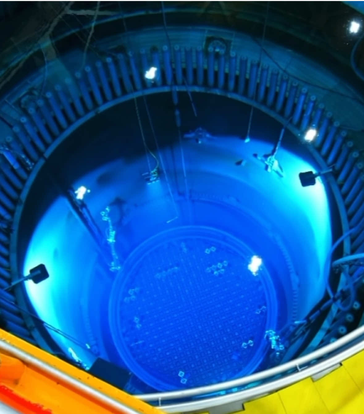 The greatest species of all time btw #edit #technology #engineering #space #foryoupage 