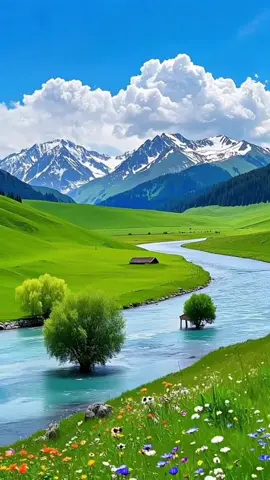 #تلاوة_خاشعة 