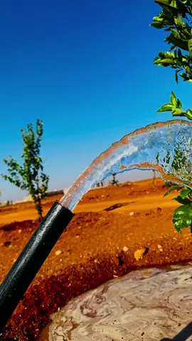 اللهم أستودعك نفسي من ذُل الحياة ومن ضجيج التفكير،عوضني عن كل شيء أحببته فخسرته، طابت له نفسي فذهب، صدقته فكذب، #المحترف #مجرد_ذووقツ🖤🎼 