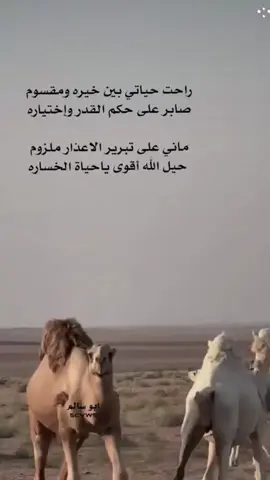 #CapCut#عذب_القصيد#اقتباسات_عبارات_خواطر#الحمدالله_علی_کل_حال❤#foryou 