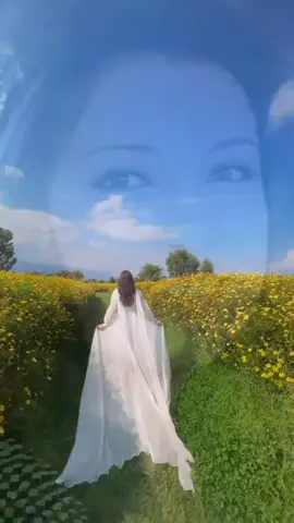 #نجاة_الصغيرة_قيثارة_الغناء_العربي❤️ #طربيات_الزمن_الجميل_🎼🎶🎻♥️🌹 