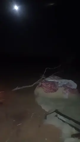 يقول المثل يد واحده ماتصفق😂😂صح بس الي مستغرب كيف اليد ذي تقش صحن رز لحالها😂😂😂 #تصويري #ليله #قمرا #اكسسبلور #شبوه 