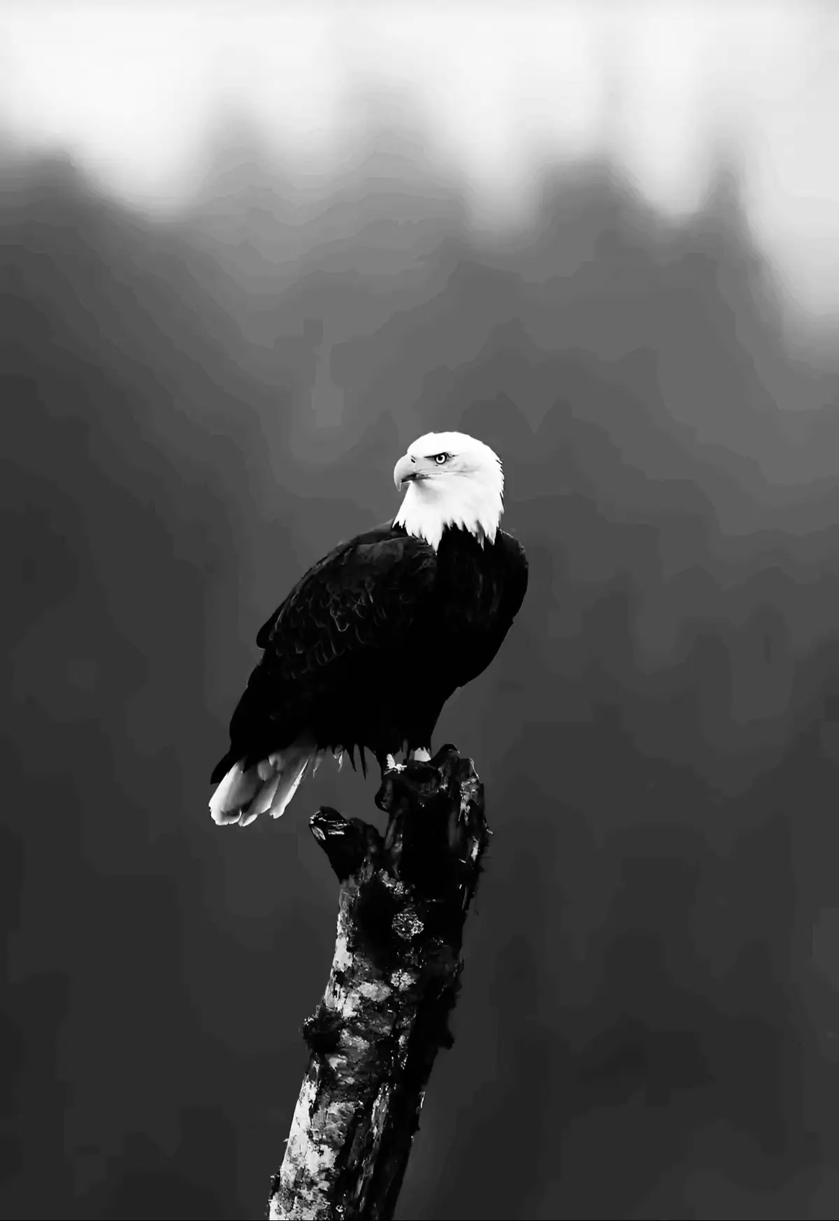 #فهد_الجبوري #صبراً_جميلاً_والله_المستعان 