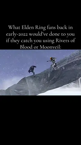 That era was funny as hell #eldenring #fromsoftware #redvsblue #meme #fyp 