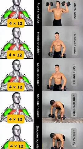 💯💪Dumbbell shoulder workout at home for beginners #Fitness #shoulder #gymmotivation #training #dumbbells 