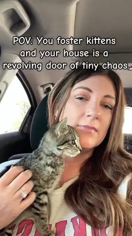 Foster kitten life = constant rotation of tiny hearts. 💛 My last four fosters left yesterday, two new ones came in, one left today — now I’ve got Clove (too small to go) and Marnie (recovering from an abscess). Every goodbye makes room for another little story. #fosterkittens #kittenfostermom #catsoftiktok #animalrescue  #fosteringsaveslives 