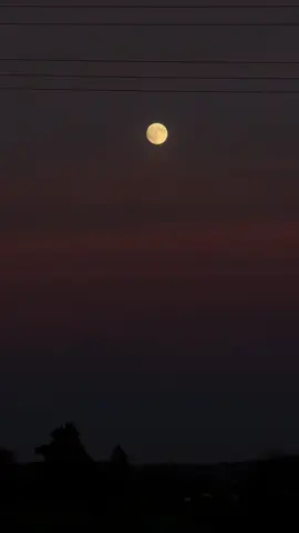 #karasevda #fyp #fürdich #keşfetteyizzz 