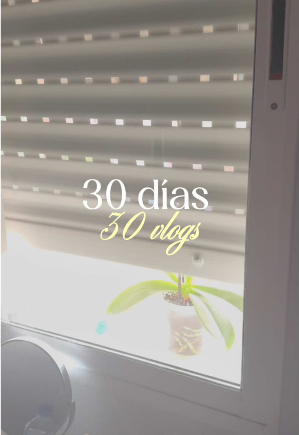 Vlog 3 hoy un poco más especial ✨ #ugc #Vlog 