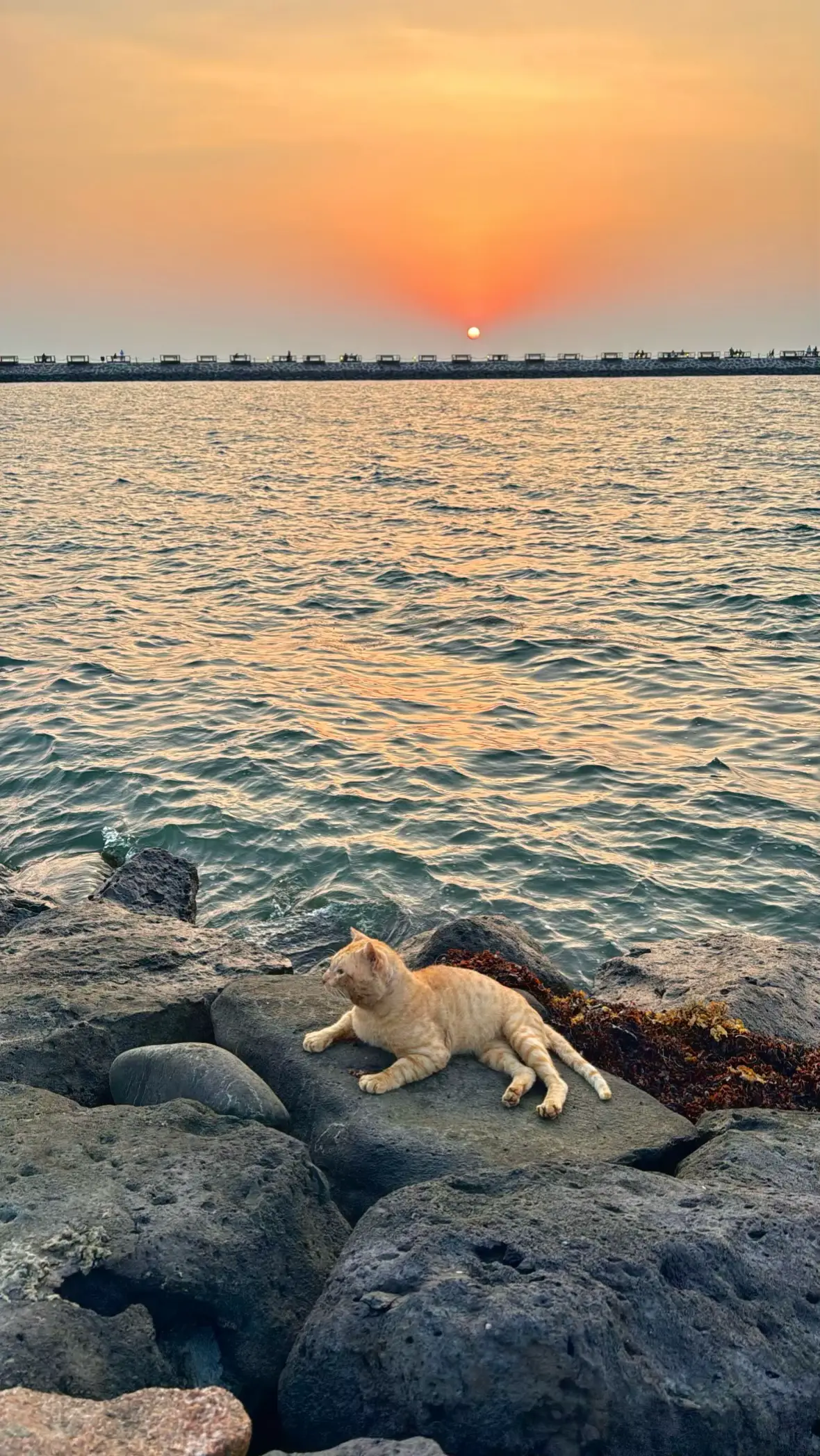 #اكبسلور الكورنيش الشمالي #جازان