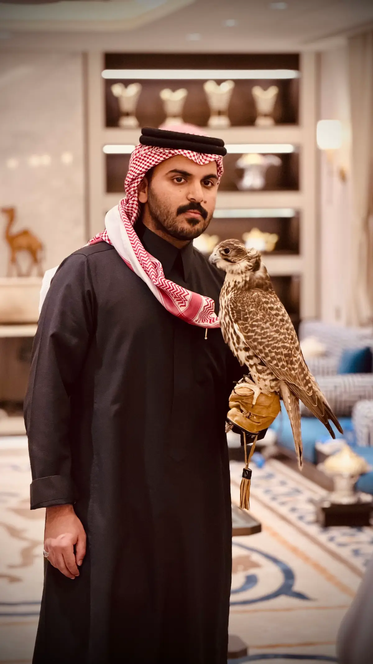 #غازي_الذيابي #صقر #السعودية 