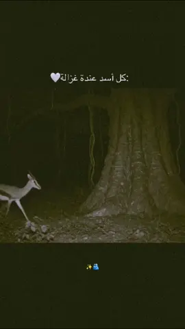 #pppppppppppppppp #meme #greenscreen #keşfet #jesus 