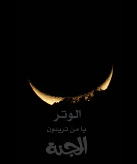 #في هذا اليوم 