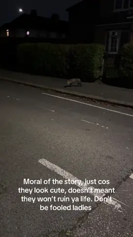 Once upon a time, my life flashed before my eyes  #fox #rabies #neardeathexperience 