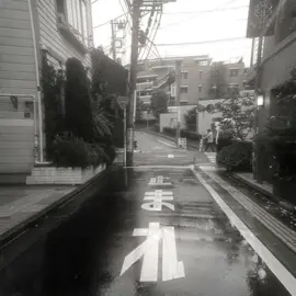 #quiet #calm #aestheticvideos #korea #quietlife 