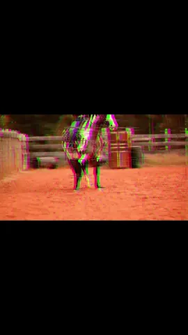 Zaddy….! You want the draft cross with the color here he is..! Fire branded and all. He is consigned to @Dixie Horse Auction make sure to check him out. #horsesontiktok #draftcross #paint #fyp 