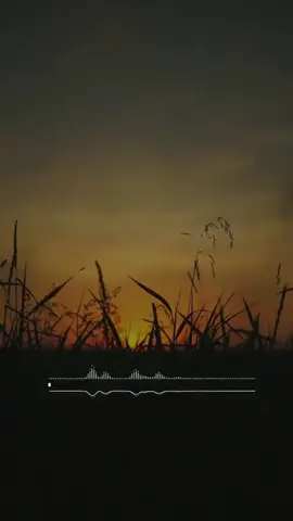 #kurdistan #music #slemani #hawler #foryou 