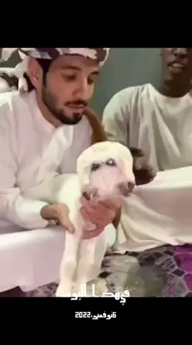 #في هذا اليوم