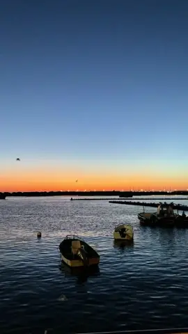 Tierra que llora con versos y ríe con vino. #españa #photo #paz 
