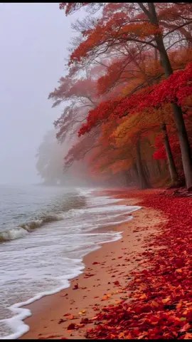 #الباقيات الصالحات خيراً وأبقى 🌹🤍❤