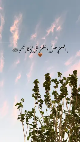 #صلي_علي_النبي 🤎🤲🏼
