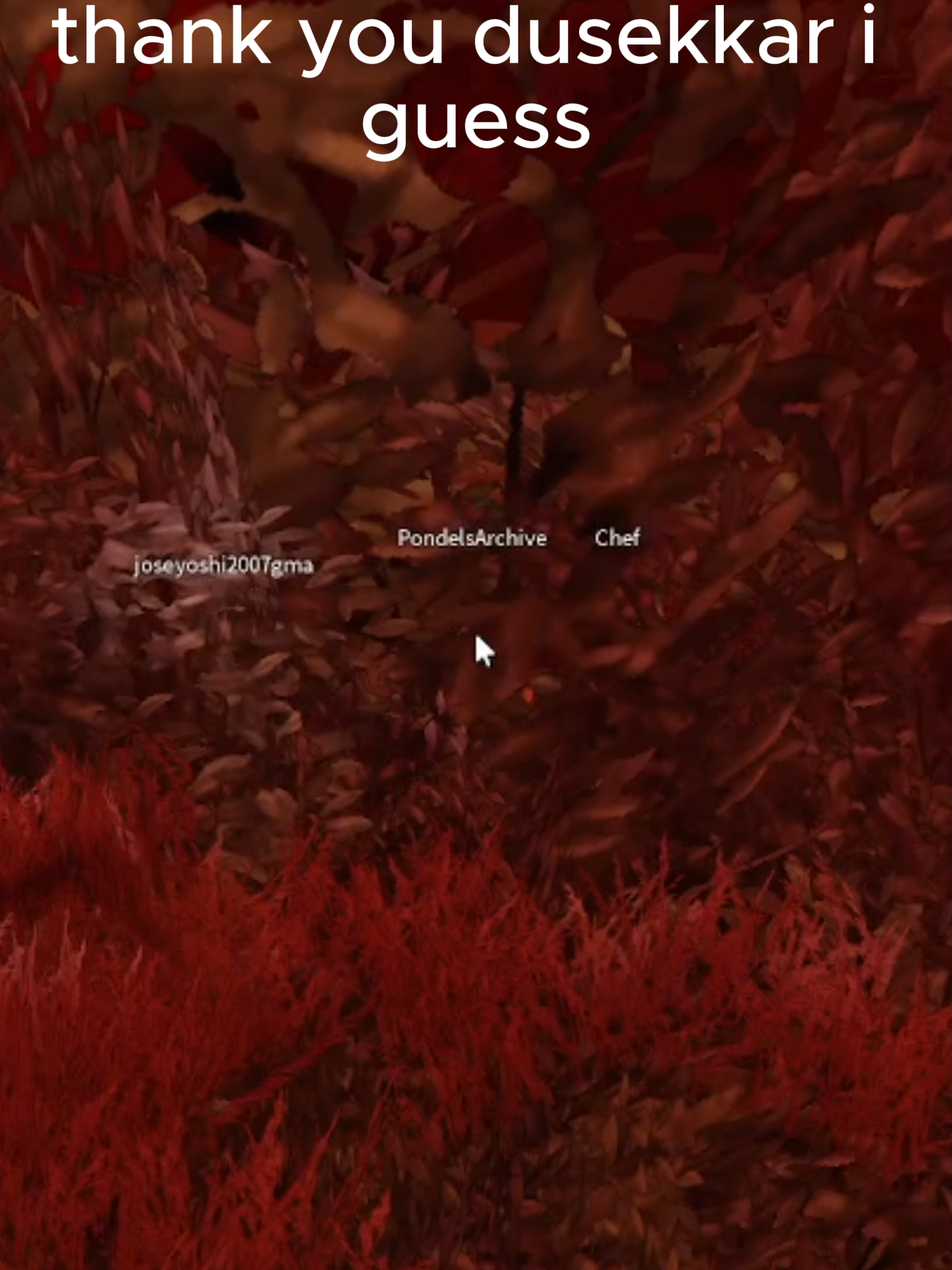 thank you #roblo #forsakendusekkar #dusekkar #dusekkarforsaken #forsakengame #forsakenroblox #forsaken #robloxforsaken #forsakenrobloxhorrorgame #labubu #pursuer #chicken