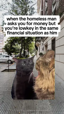 #CapCut #fyp #money #situation #finances 