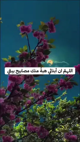 #creatorsearchinsights اللهم ان أبنائي هبةً منك مصابيح بيتي ف اللهمً لاتطفي لهم نورا واجعلهم من الصالحين#دعاء #صالح_السليمي#صالح_السليمي_ثلاثة_نصائح_تمسك_بها #السعوديه 