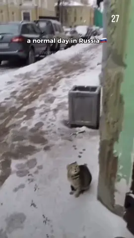 A normal day in Russia🇷🇺 #memesfromrussia #jokeoftheday #meme #russianmemes #top5