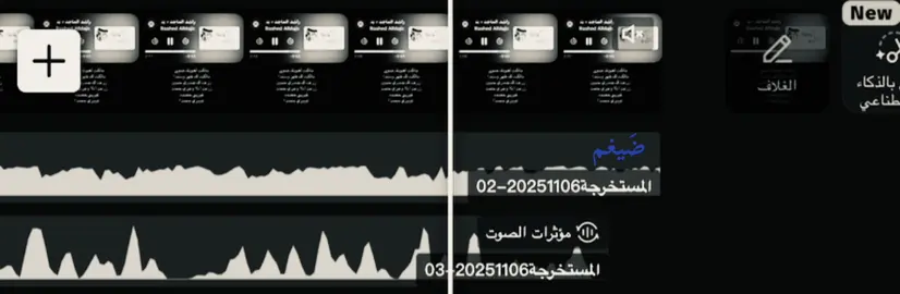 شتويه .#ضَيغم 