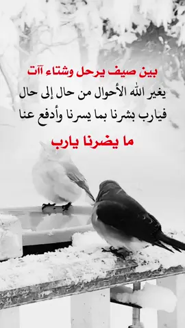 #fyp #explore #تصميم_فيديوهات🎶🎤🎬 #عبارات_دينية #اعادة_النشر🔃 