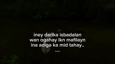 end.. #wolf #viewsproblem #fppppppppppppppppppp #fyp 