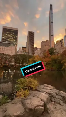 #centralpark #ny#fyp