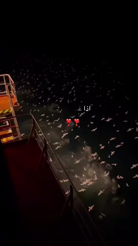 يقول خالد الفيصل اذا غمضت عينك وشفت انسان بين عينك وبين جفنك..