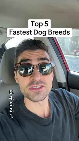 Follow! Like! Share! @Samantha Wynn Greenstone 