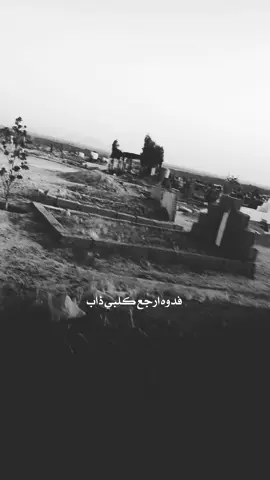 #fyp جروح الروح 