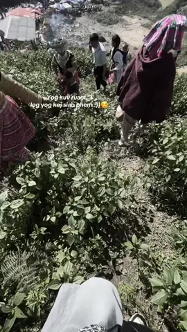 🥲#xuhuongtiktok #nujtxeeg