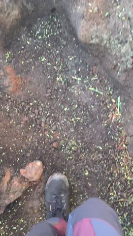 sebuah keajaiban di musim hujan  #raung3344mdpl #pendakigunung #foryoupage 