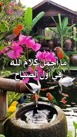 ما أجمل كلام الله في أول الصباح #صباحكم_أحلى_صباح #يسعد_صباحكم #صباحكم_معطر_بذكر_الله #صباح_الخير #اللهم_امين_يارب_العالمين 
