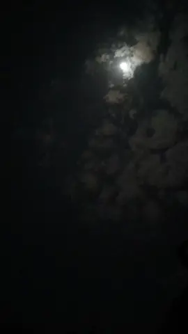 ليله رايد من عمري انا وياكم نتلاقه🤎🥹