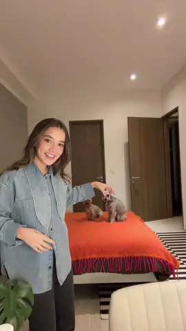 Yo asi dije 🙏🏼 jajaja